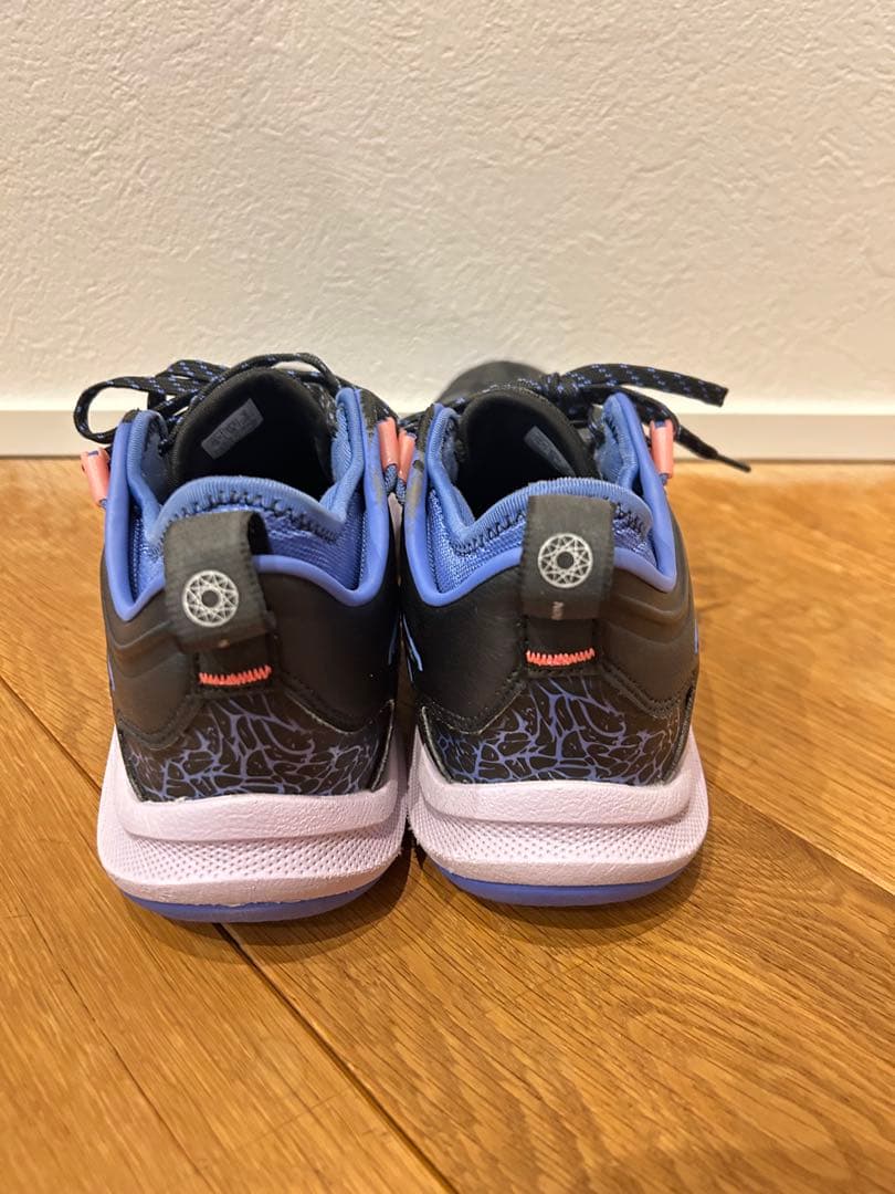 シューズ(男性用) nova surge low