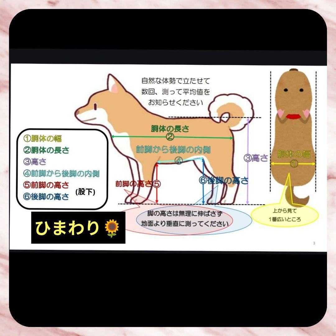 ワンちゃん4輪　リハビリ　食事補助　犬用車椅子　シニア犬補助　介護　犬の歩行器