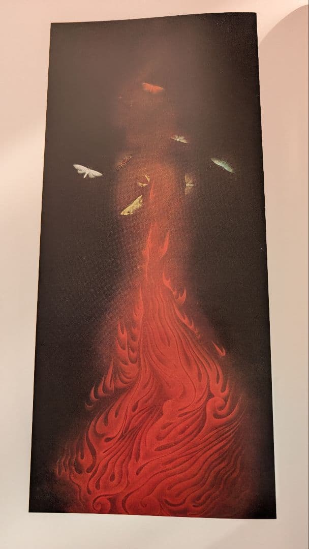 【４５年前に購入】　速水御舟 作品集