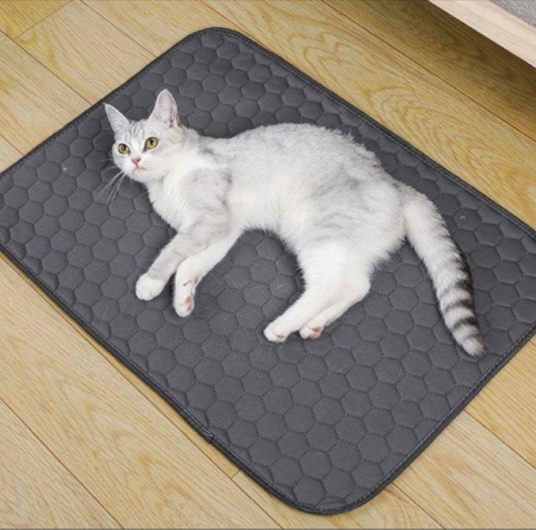 ペットシーツ シート トイレマット おしっこマット 犬猫　 洗える　2枚　グレー