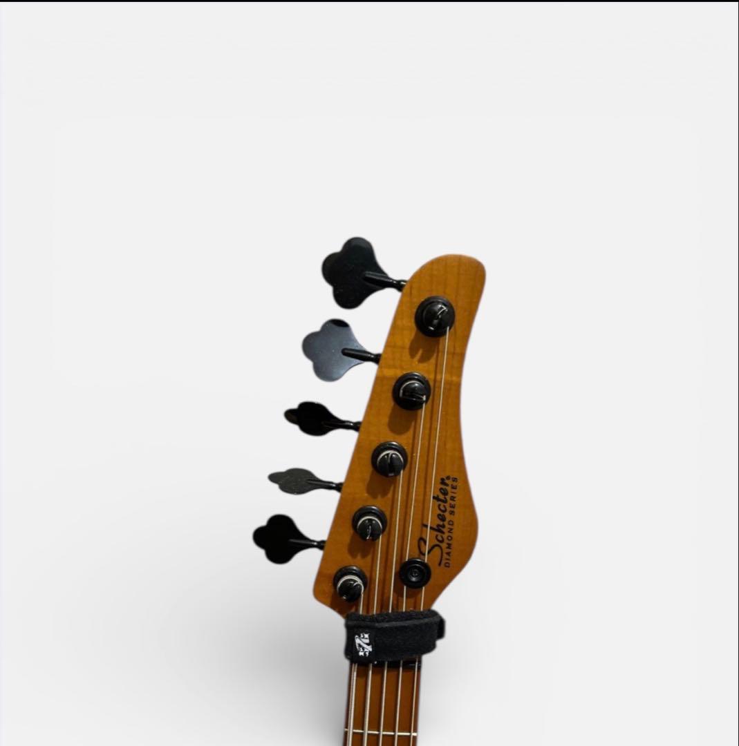 Schecter Diamond Series 5弦ベース