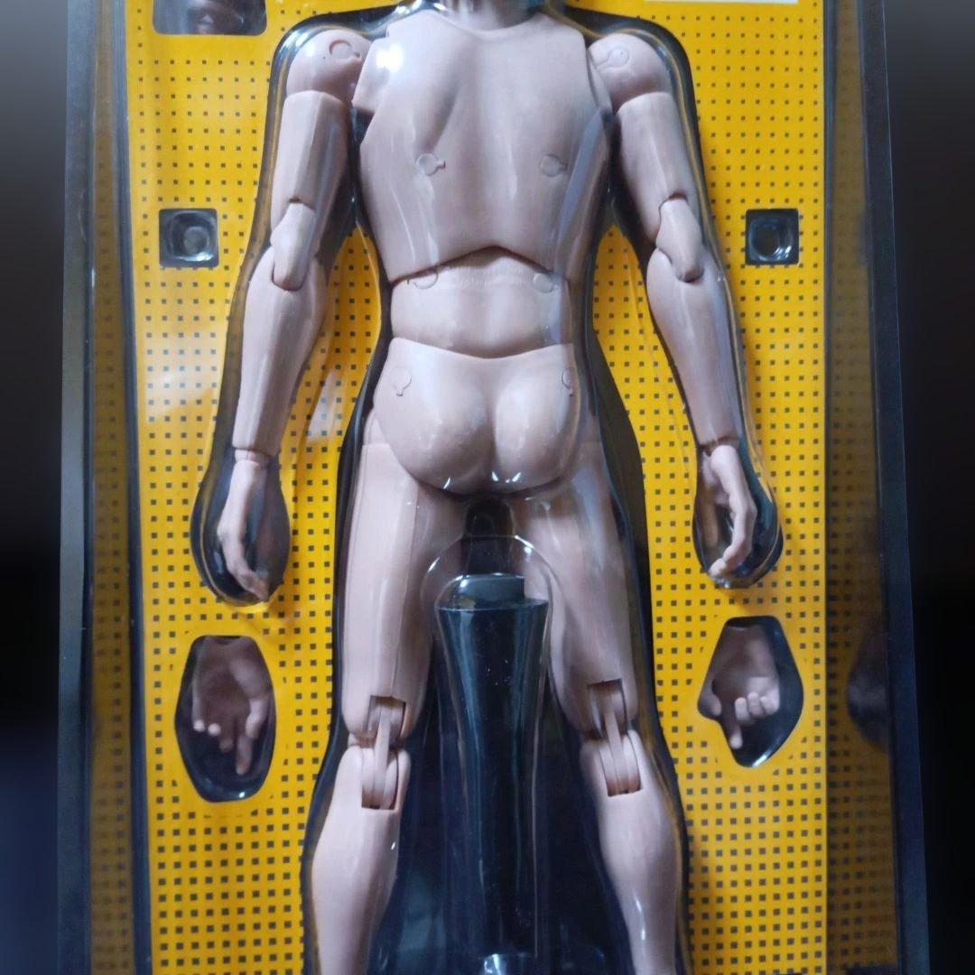 ホットトイズトゥルータイプ1/6 白人男性素体 TTM14 ナローショルダー