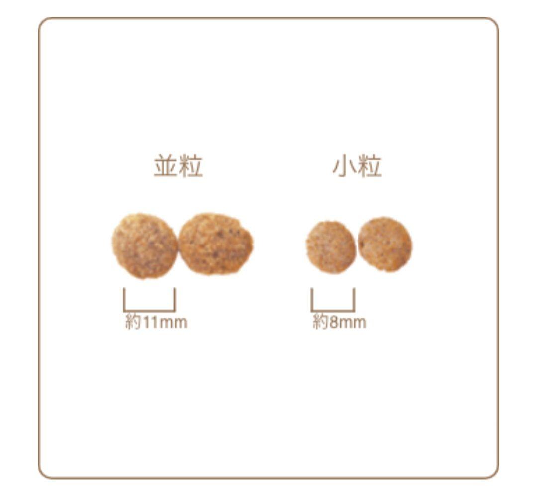 【24時間以内発送】AZ アゼット アダルト 並粒 10kg ２袋