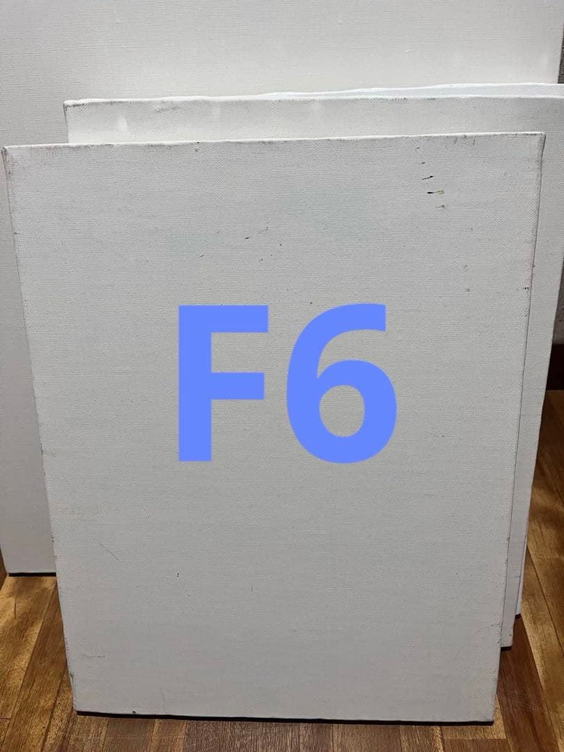 F6八枚F8一枚F10四枚　油絵用ホワイトキャンバス計13枚　麻100%