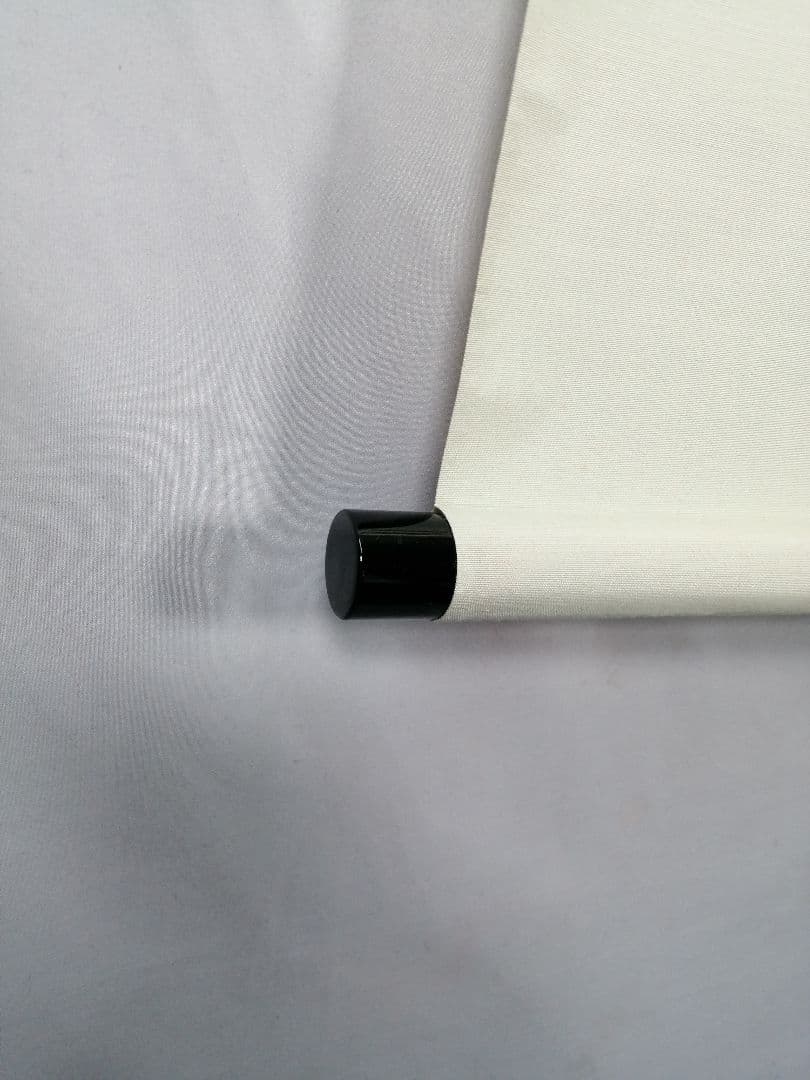 【茶道具】前大徳　小林太玄和尚筆　一行「萬年緑毛亀」 掛軸　茶掛け　軸C57