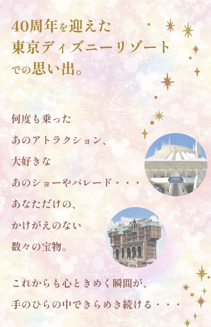 ディズニーモーメンツゴーラウンド「ハーモニーインカラー」組立済み完成品記念セット