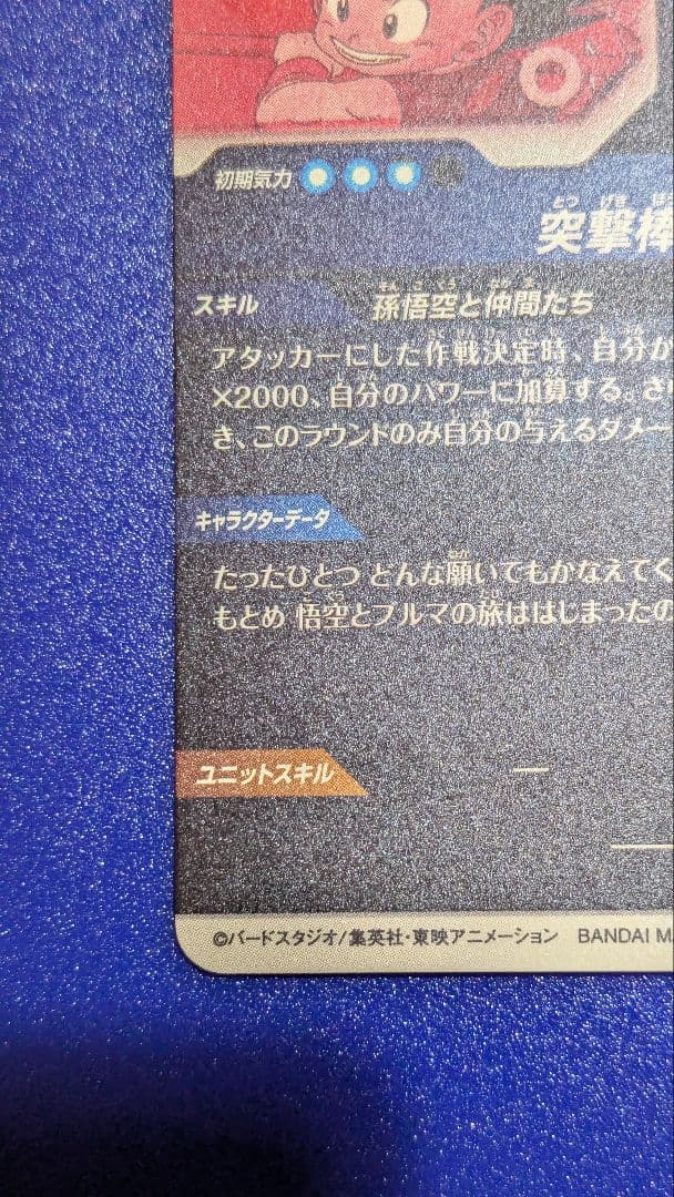 い*た様 ドラゴンボールスーパーダイバーズ 2弾 神龍EXR　EX2-009　パ