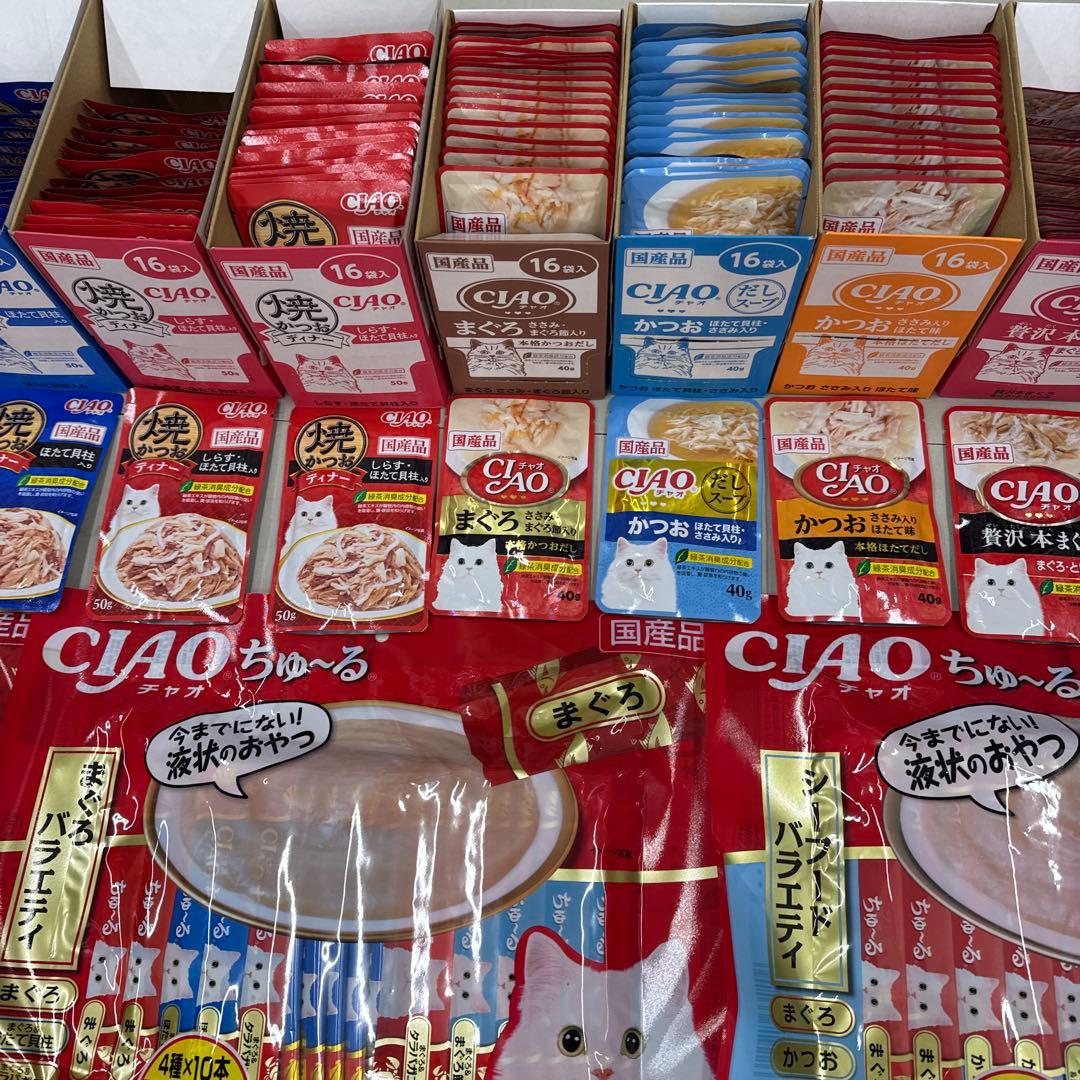 猫A 激安！