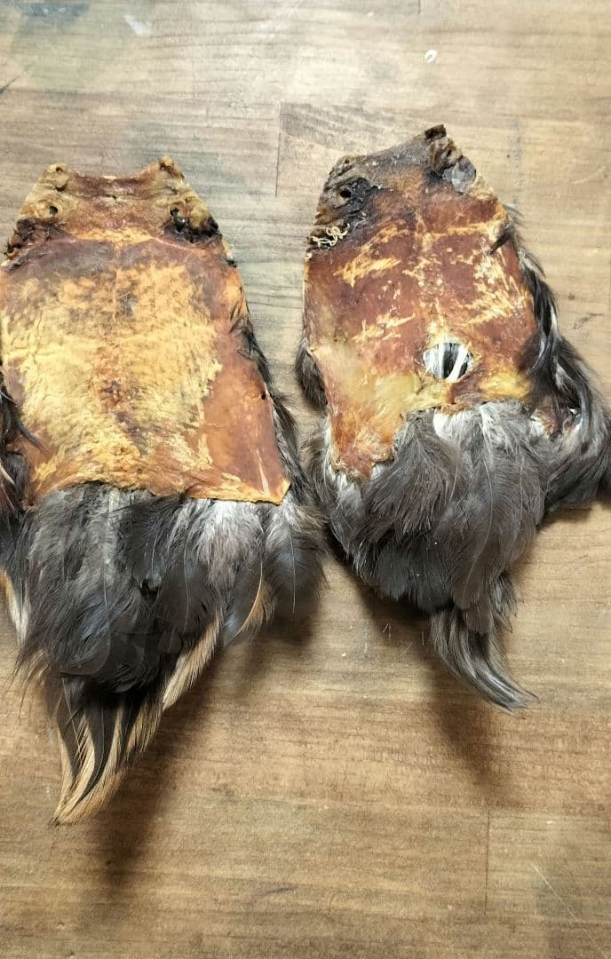 【フライタイイング】ハックル ケープ・クイル 5点まとめ売り