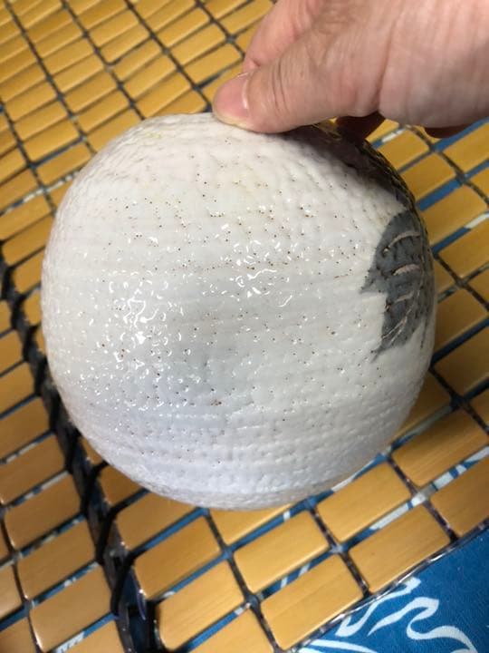 陶芸品