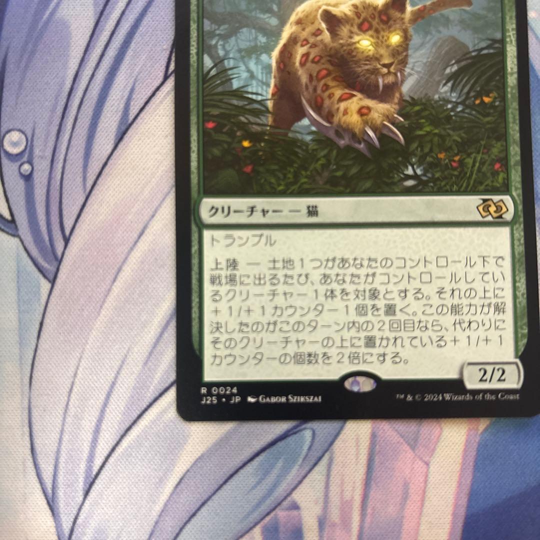 大鎌猫の仔