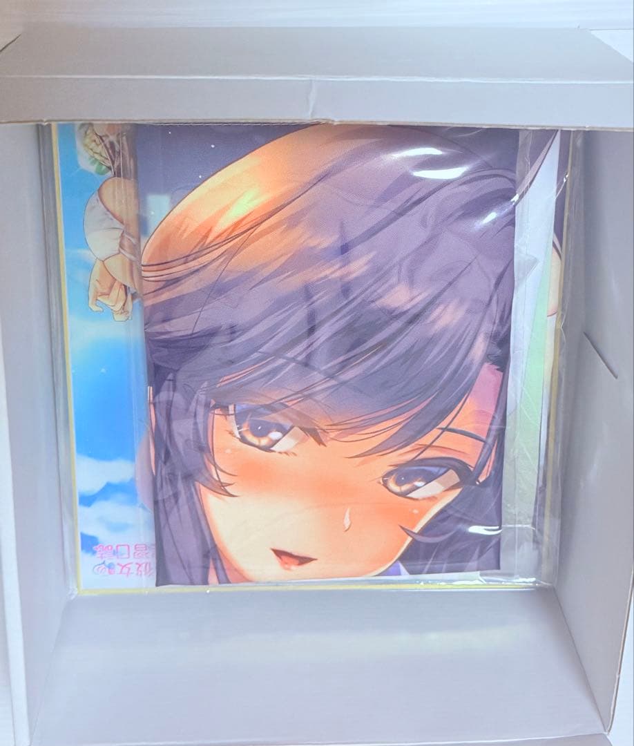 美品 Switch ボクと彼女たちの実習日誌 コンプリートBOX 特典未開封