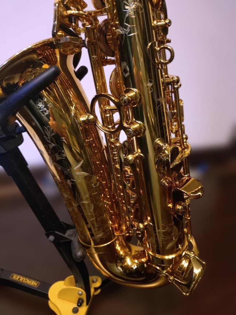 セルマー(Selmer)シュプレームアルトDARK GL(伊東たけし)選定品