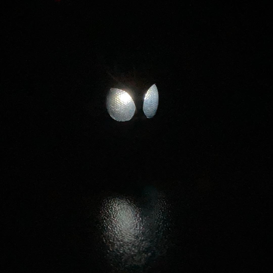 仮面ライダー クウガ LED ヘッド アルティメット 真骨彫