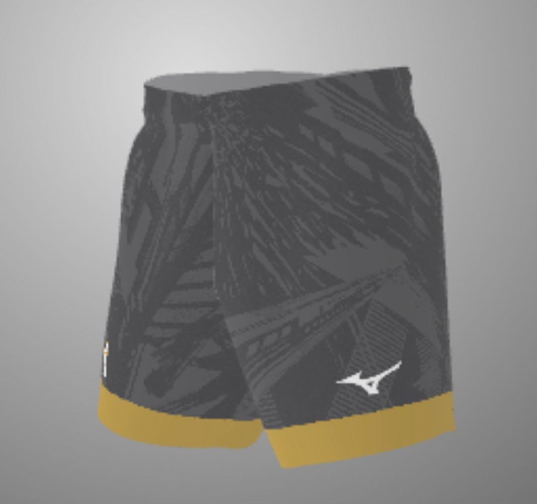 Mizuno バレーボール オーダーゲームパンツ①