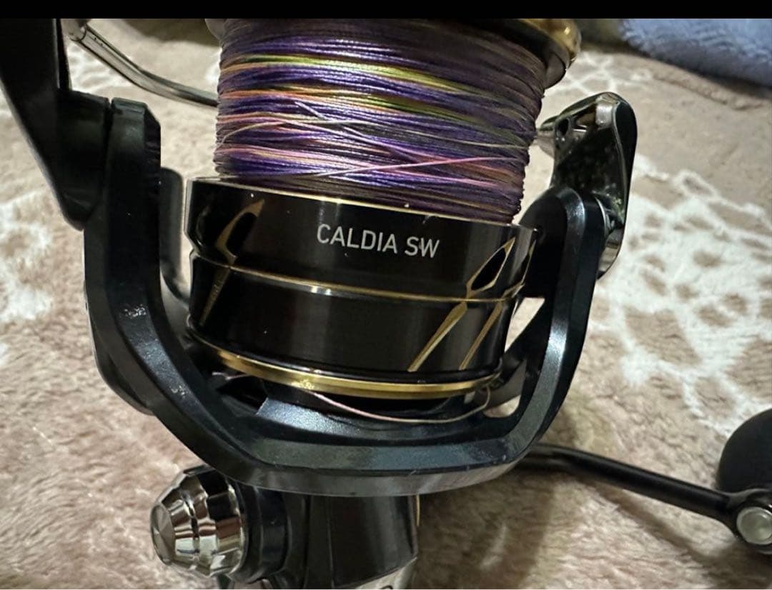 カルディアSW6000H
