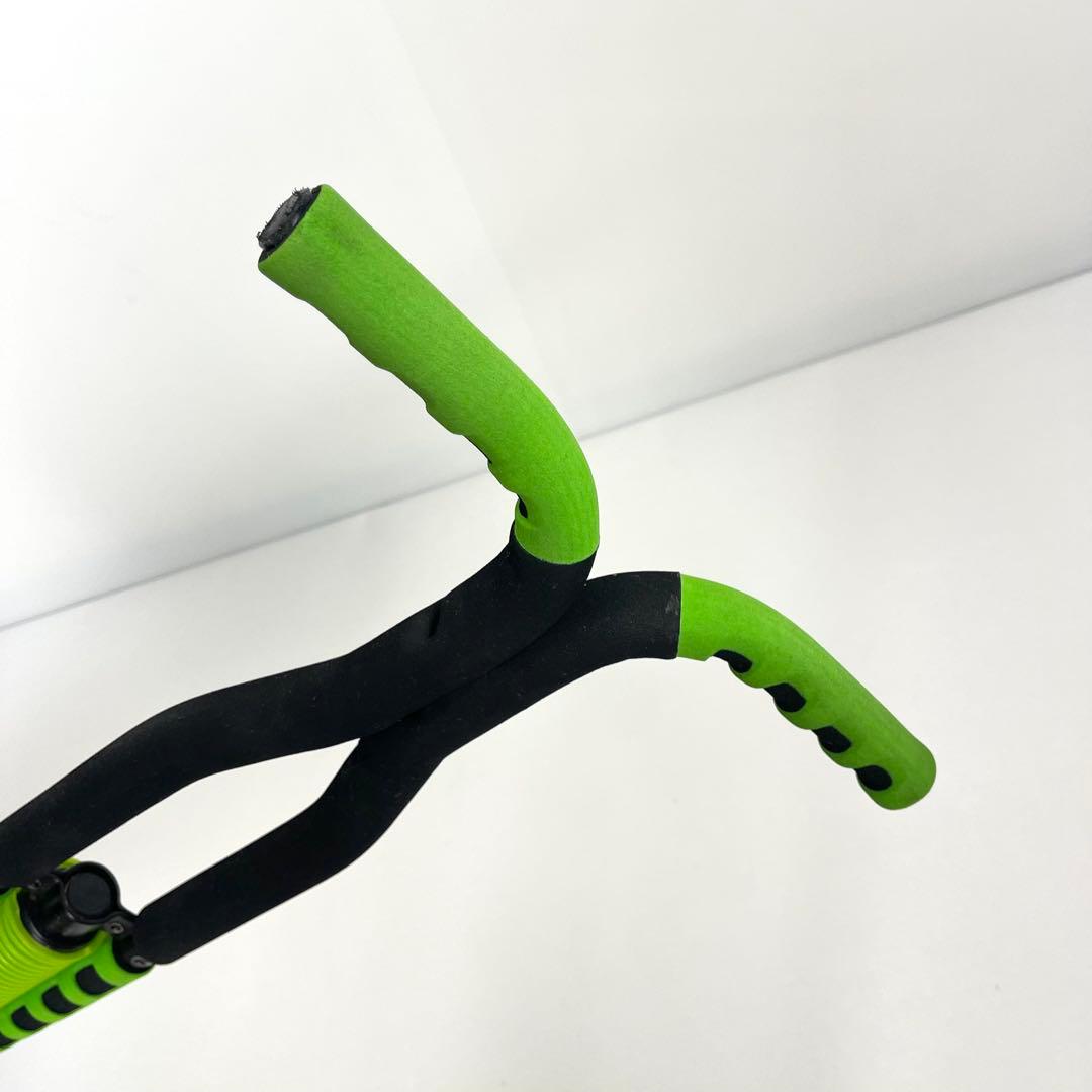 ホッピング Flybar フライバー Master pogo グリーン