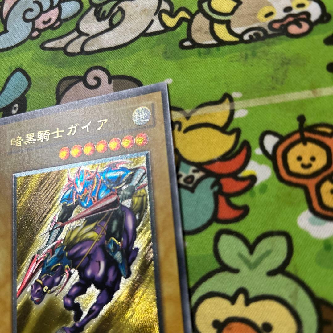 最安値出品　ガードナーはおまけ