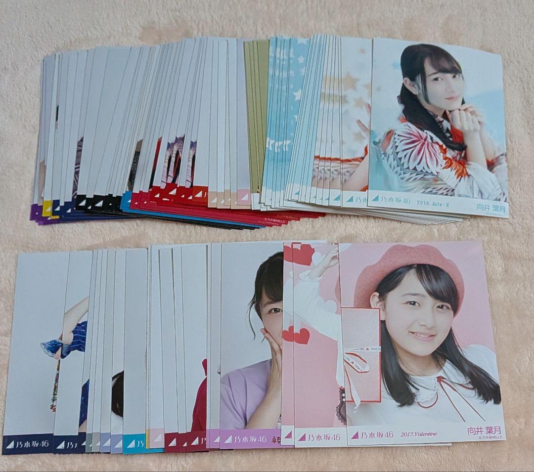 【大量2000↑】 向井葉月 生写真 セット まとめ売り