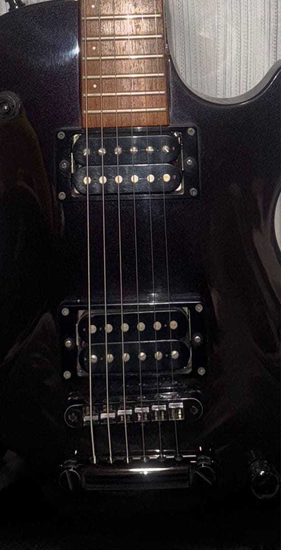 FERNANDES RE-95G 瀧川一郎モデル　紫パープル　中古
