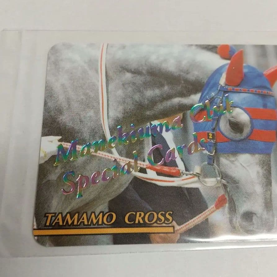 タマモクロス レインボーカード No.424 まねき馬 東ハト