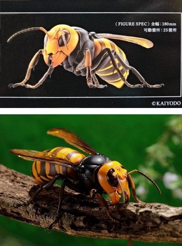 リボジオ／オオスズメバチ●海洋堂18cmリボルテック可動生物フィギュア松村しのぶ