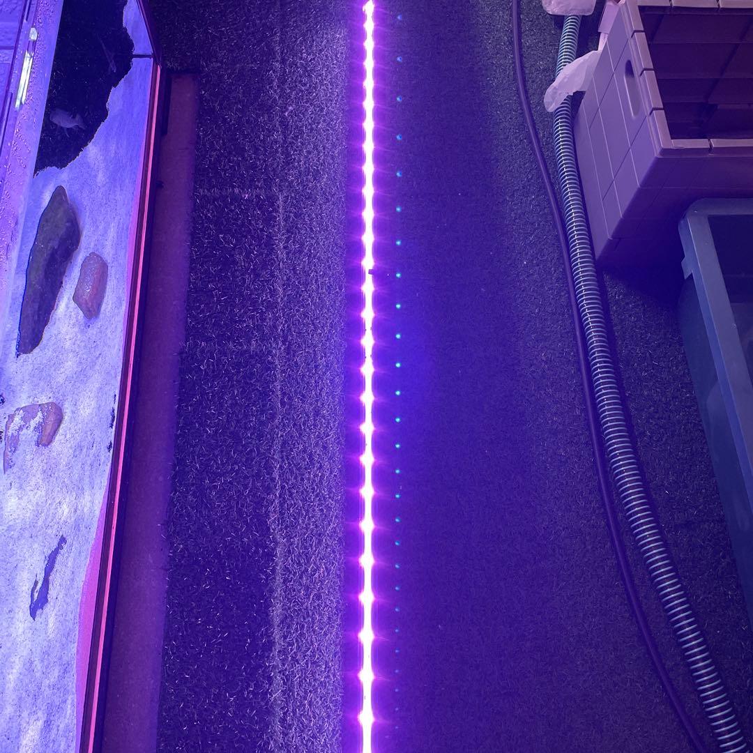 中古　ゼンスイ　マルチカラー水中LED 150センチ