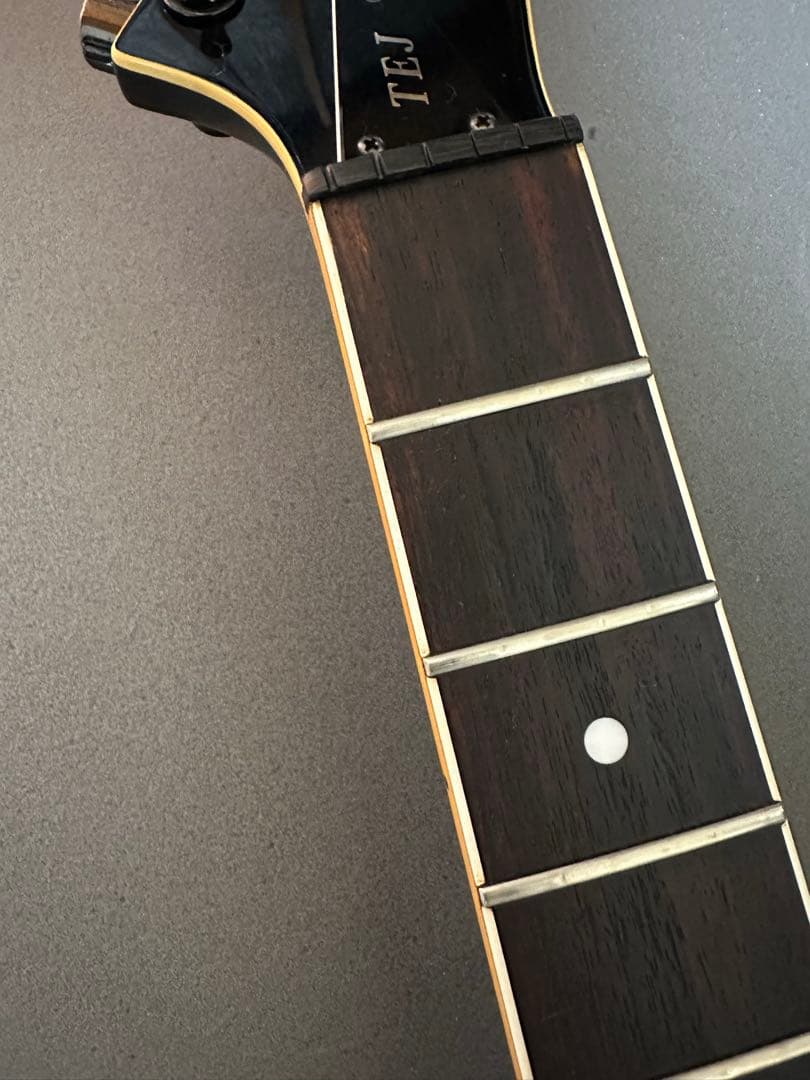 FERNANDES　TEJ-70　F.G.I. テクノロジー　アクティブPU