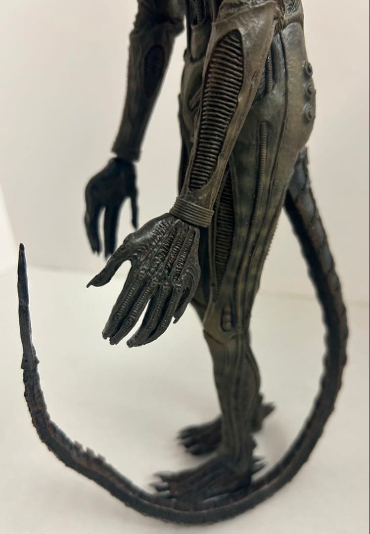 1/6 ホットトイズ エイリアン ビッグチャップ HOTTOYS ALIEN