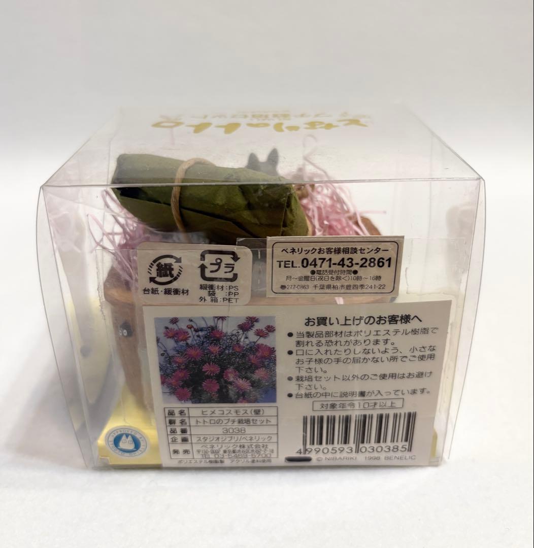 となりのトトロ プチ栽培セット ヒメコスモス (壁) スタジオジブリ