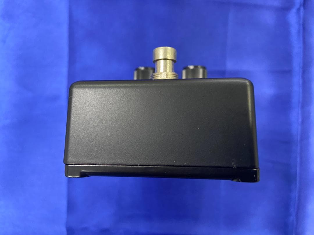 CMP-1クローン