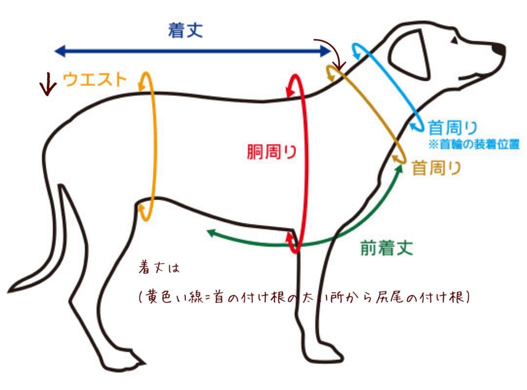 micanページです　ダックスフンド　犬服　わんこ服　ダックス