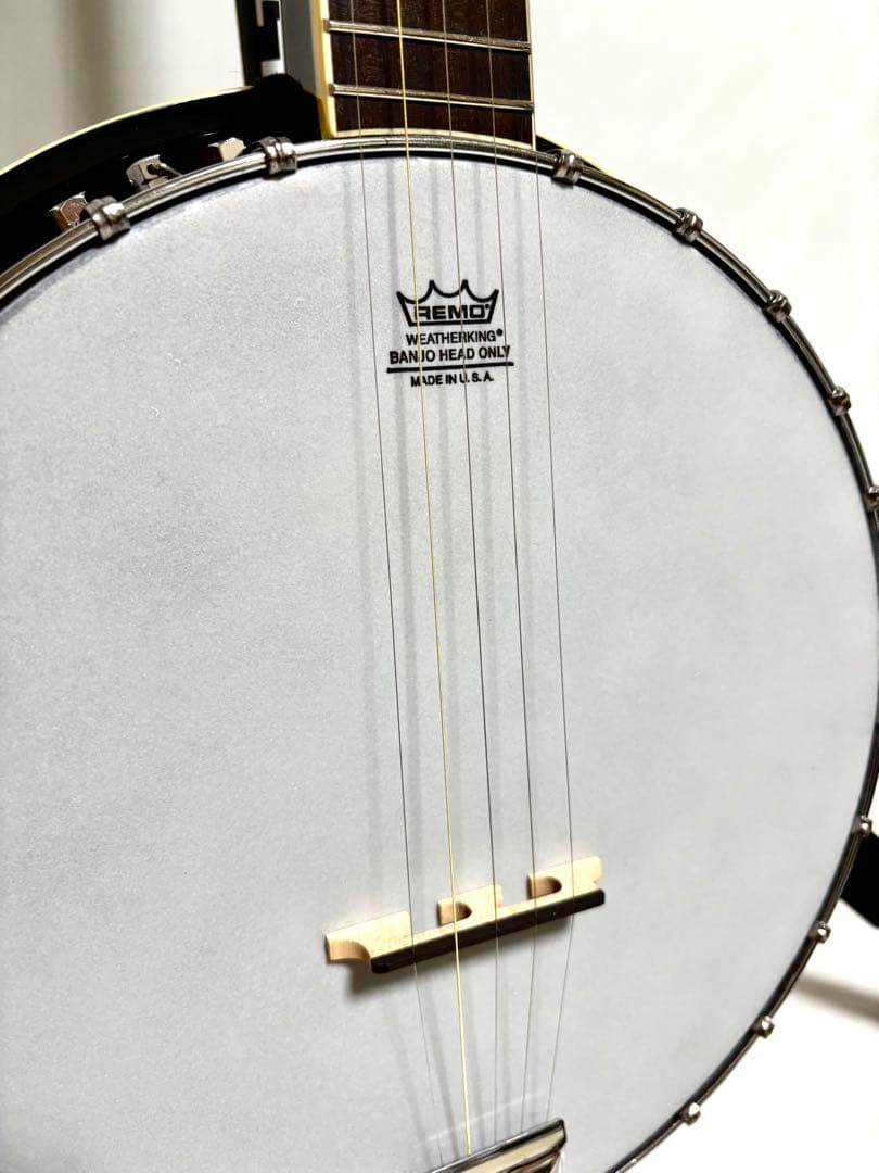 【美品】Aria 5弦バンジョー SB-100