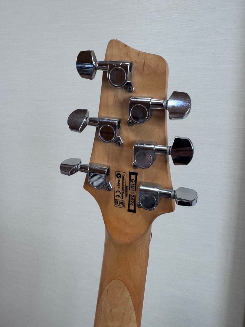 メンテ済 コスパ最強 Ibanez GIO GSZ220 アーチドトップ HH