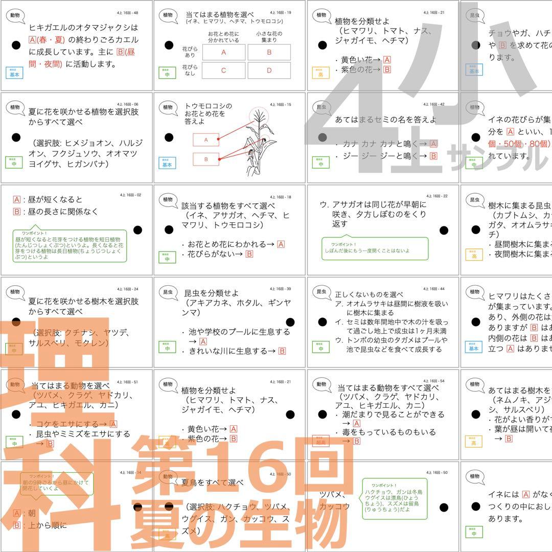 中学受験 暗記カード【4年上 理科 全セット 1-19回】組分けテスト対策