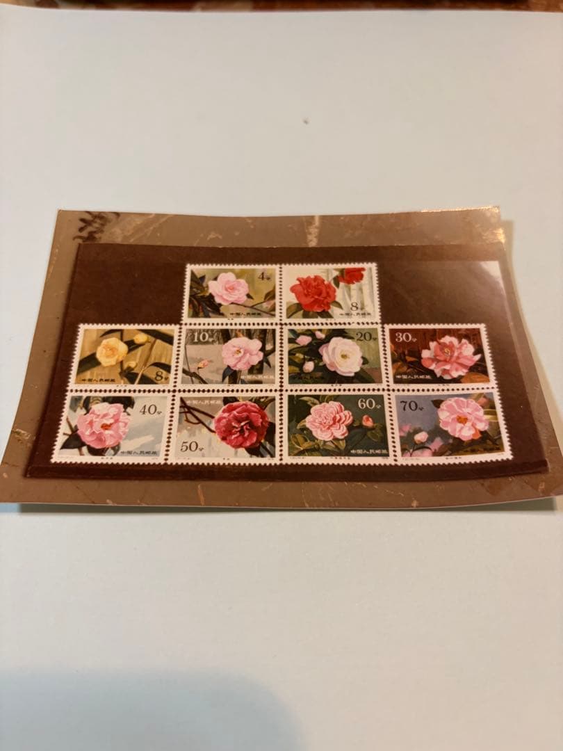中国人民郵政 切手 雲南 山茶花 美品 21枚