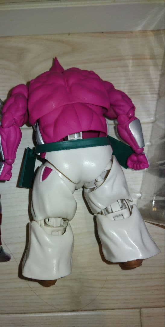 SHFiguarts STRONG THE BUDO　ストロング　ザ武道