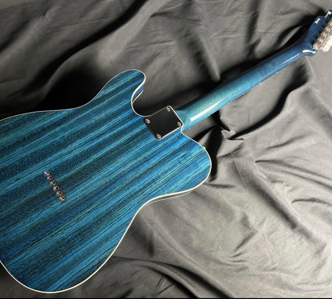 Freedom C.G.R テレキャスタータイプ/シンライン