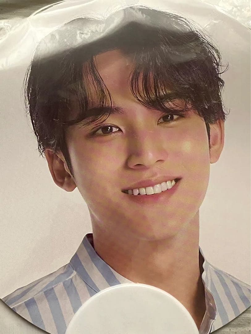 SEVENTEEN セブンティーン セブチ ミンギュ うちわ 団扇 セット
