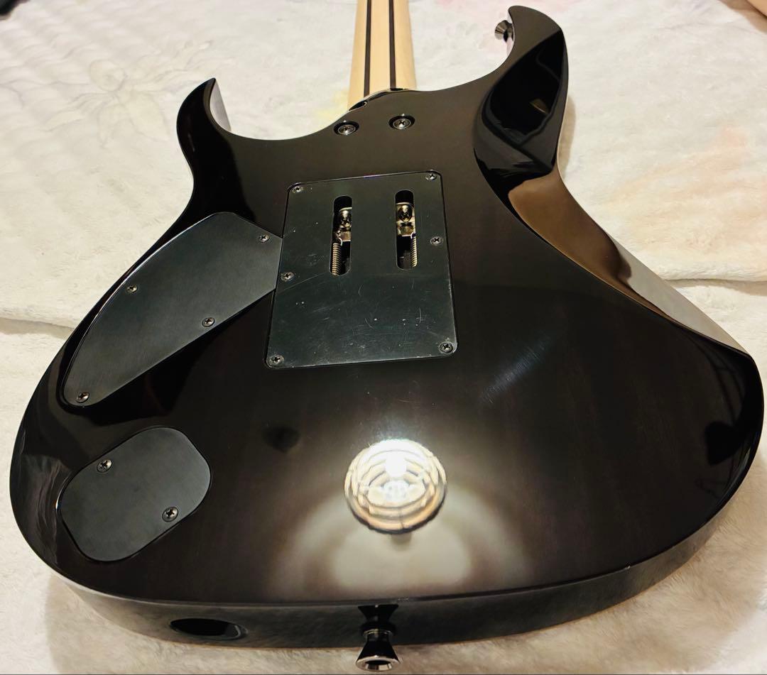 m*a様 Ibanez RG8570 J-Custom