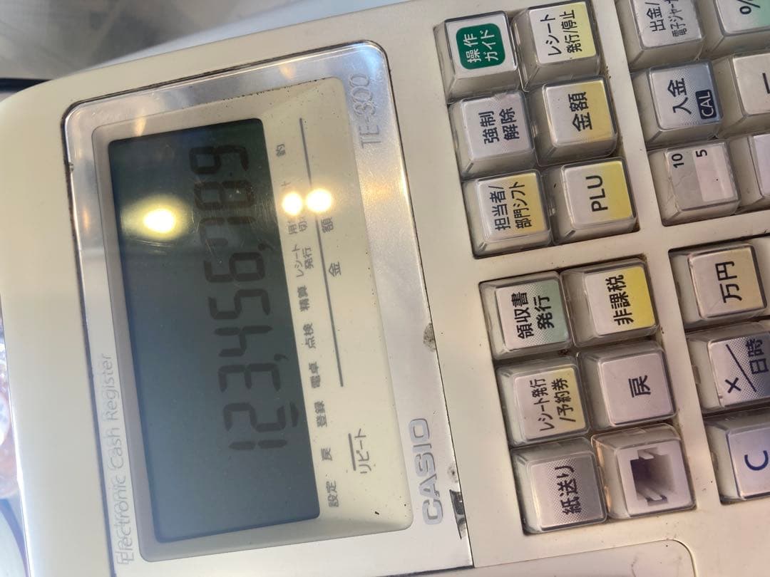 CASIO レジスター TE-300 ディスプレイ付き