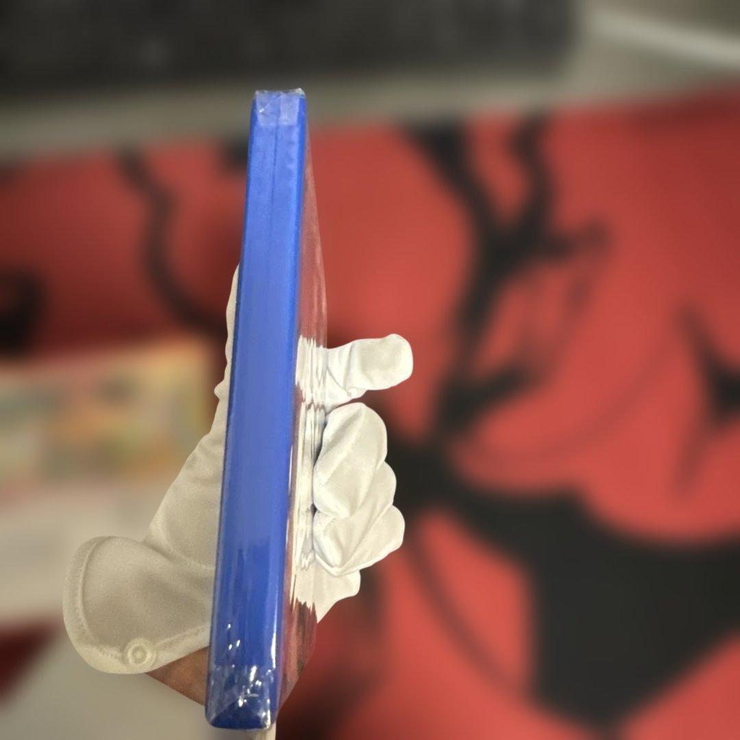 【新品未開封】2本セット ポケットモンスター オメガルビー アルファサファイア