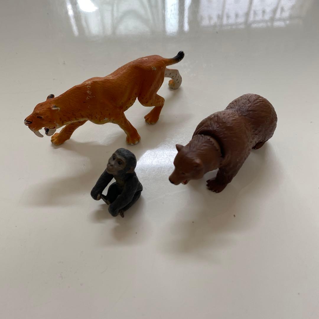 アニア　まとめ売り