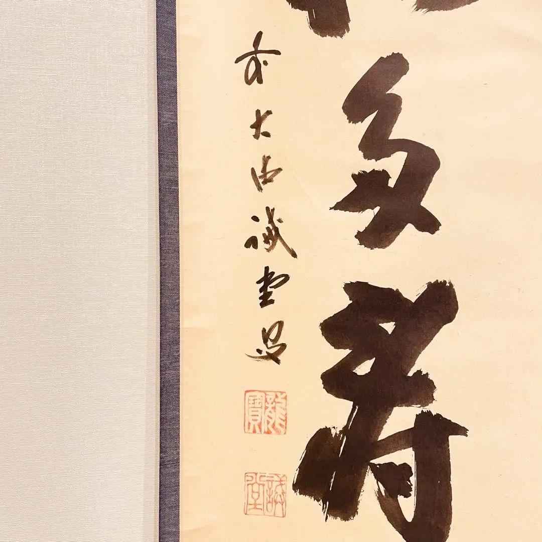 2799 藤井誡堂 「青松多寿色」 肉筆 紙本 掛軸 大徳寺 禅語