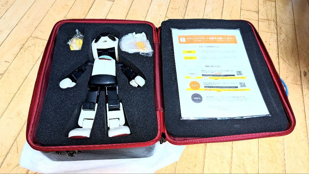 【限定モデル】初代Robi メーカー組立完成品 専用ケース付 希少 美品