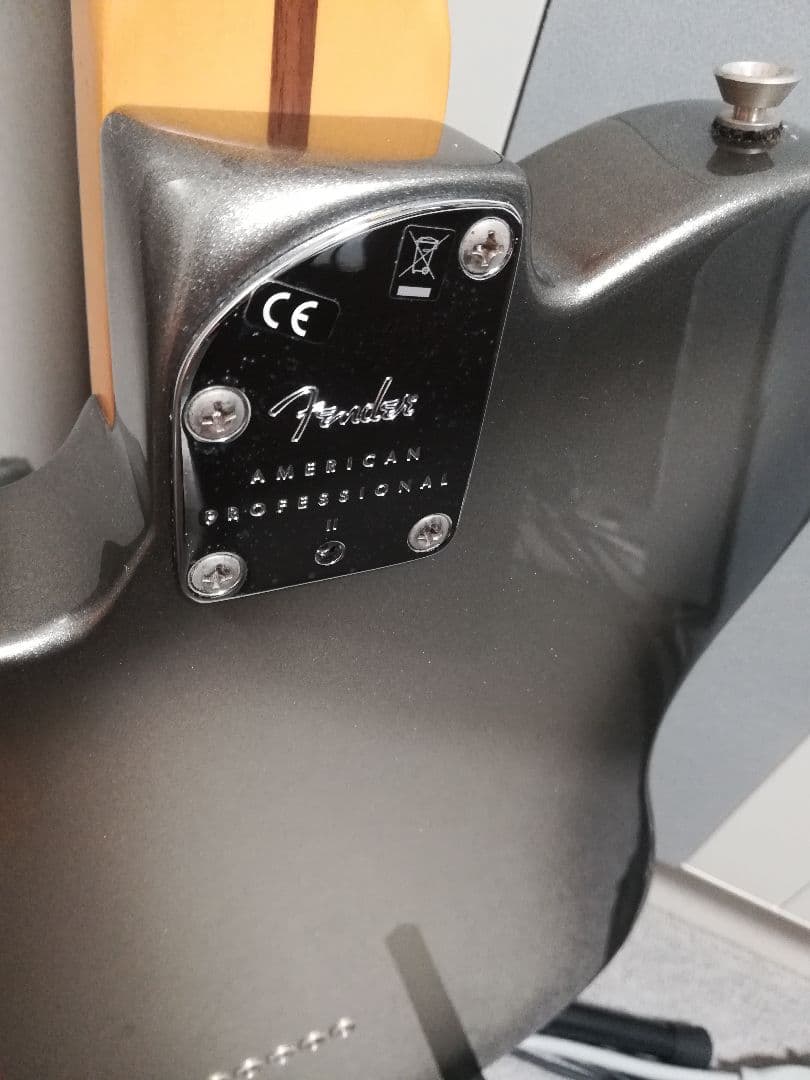 ギター American Professional II Telecaster