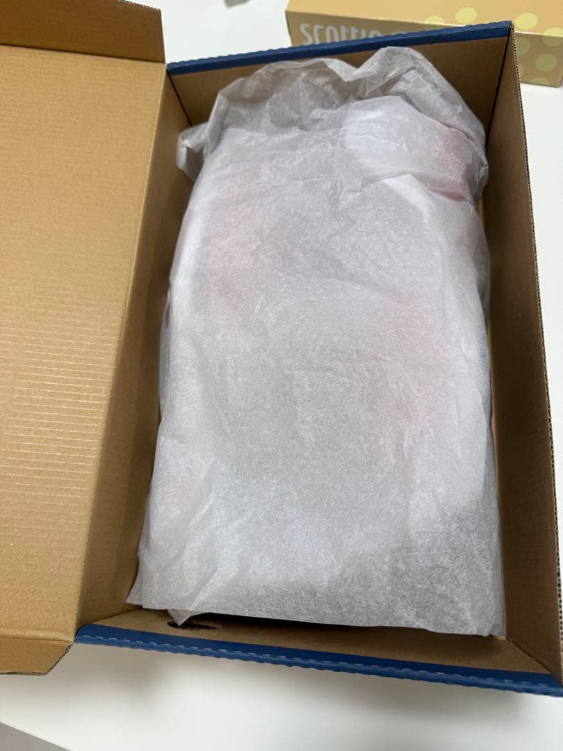 Mizuno ウェーブライダー 18 SW 27.5cm
