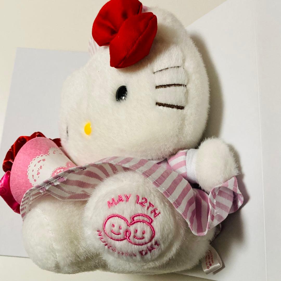 レア美品✳️ハローキティ『ナースキティ ぬいぐるみ 2011年ver.』看護の日