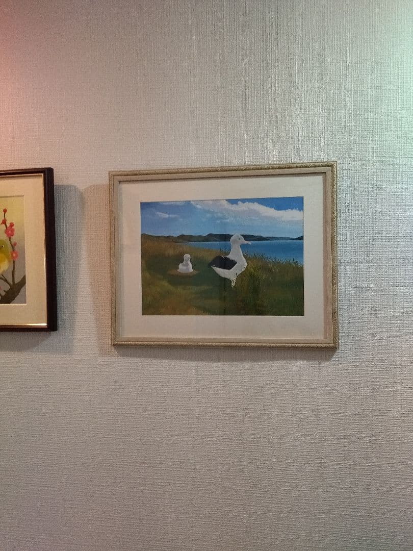 アホウドリ