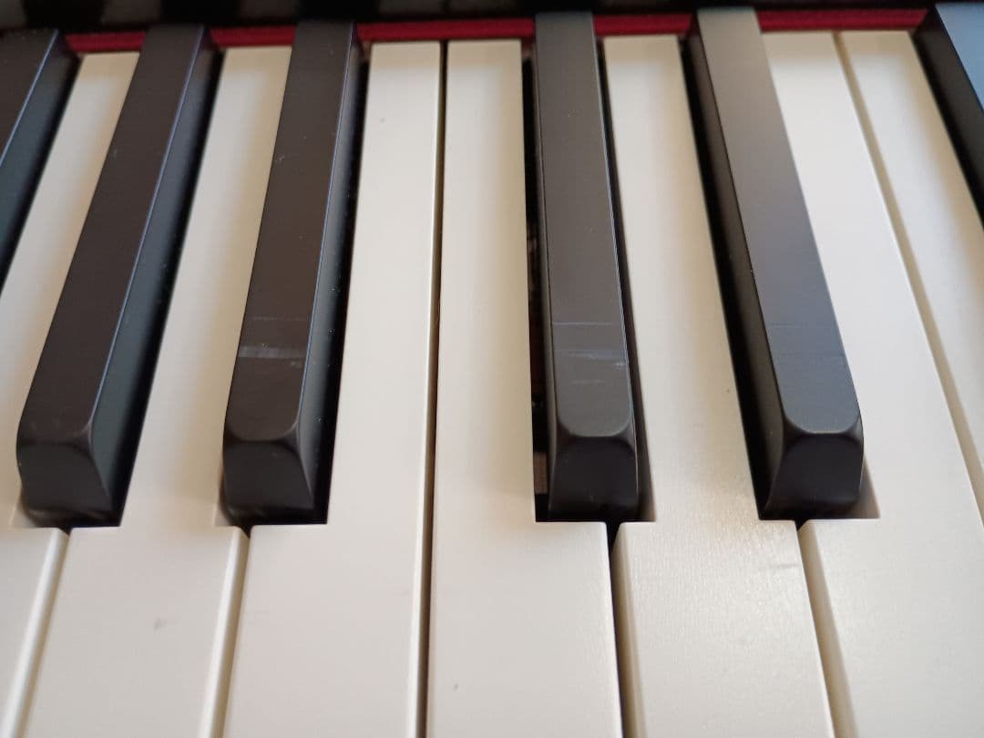 Roland GO:Piano 61鍵 DP-2ペダルスイッチ付き